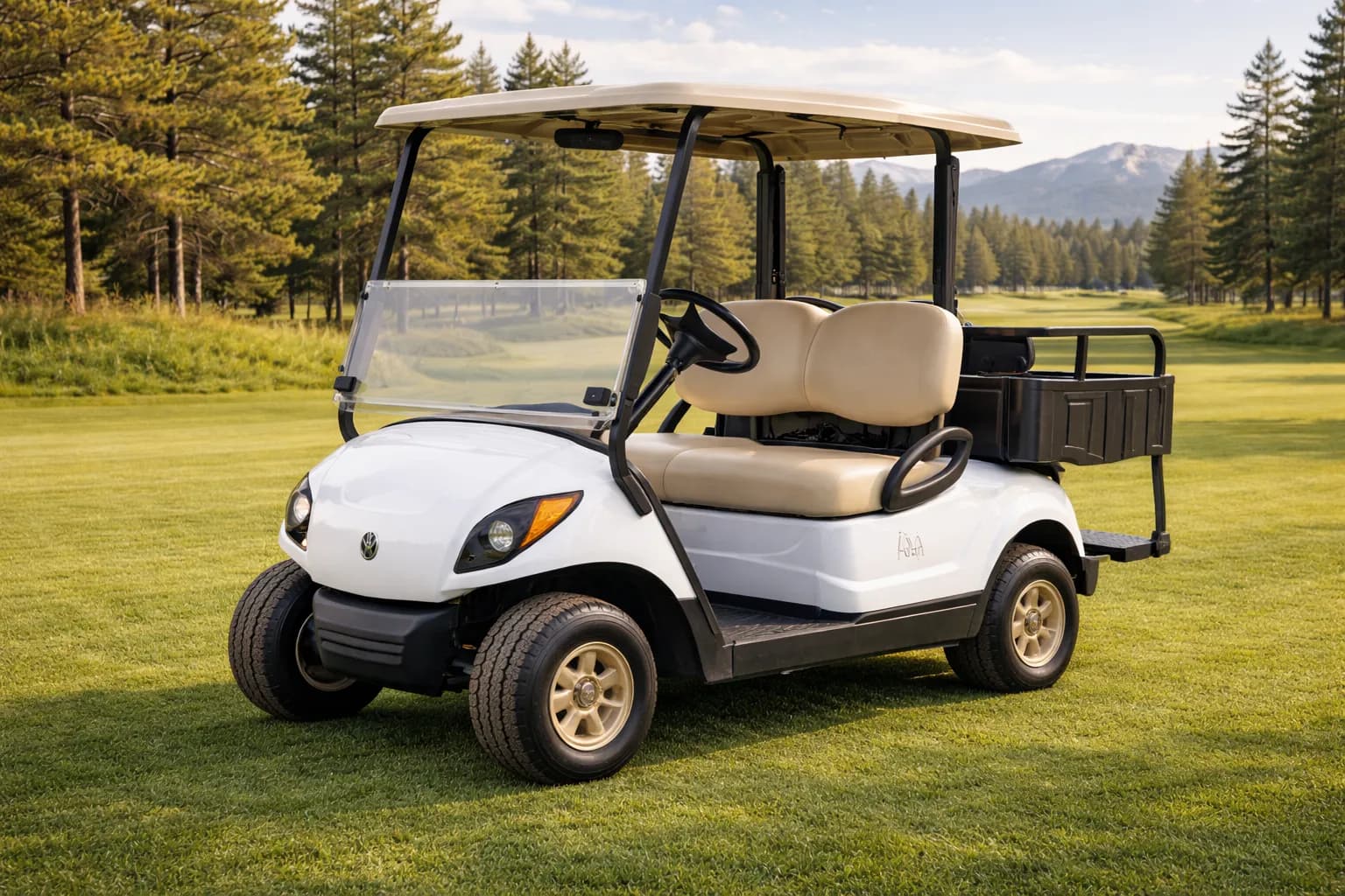 Golf carts with Rocky Mountain backdrop